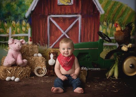 Barn Cake, Farm Animal Cakes, Diy Photography Props, Farm Animals Birthday Party, Farm Cake, Smash Cake Boy, Farm Animal Birthday, Cake Smash Photography, Animal Birthday Party