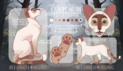 Ref Sheet, Cat Anatomy, Warrior Cat Drawings, Warrior Cat Oc, Cat Oc, Cat Reference, Beautiful Sketches, Warrior Cats Art, Animated Animals