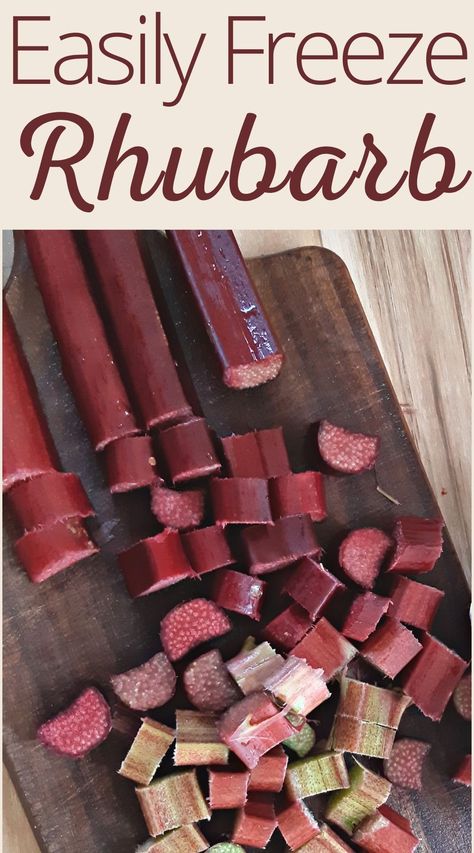 Freezing Rhubarb, Rhubarb Drink, Freeze Rhubarb, Fresh Rhubarb, Rhubarb Plants, Rhubarb Recipes, Drink Recipe, Frozen Fruit, Jams & Jellies