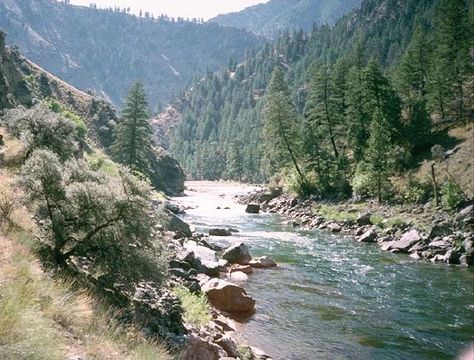 Challis Idaho, River Of No Return, Wilderness Cabins, Idaho Vacation, Idaho Adventure, Dream Water, Idaho Travel, My Own Private Idaho, Salmon River