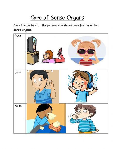 Sense Organs Worksheets, Five Senses Worksheet, Sense Organs, Worksheets For Kindergarten, 5th Grade Science, Sense Of Touch, Can You Feel It, 5 Senses, How To Shade