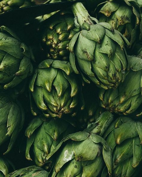 Artichoke Photography, Benefits Of Artichokes, Artichoke Benefits, Vegetables Photography, Food Texture, Food Mood, Backyard Vegetable Gardens, Food Content, Fruit Photography