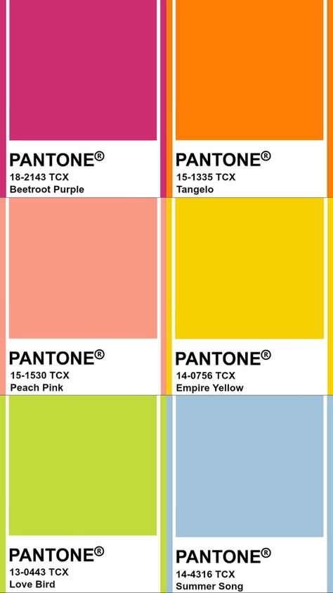 Bright Summer Colour Palette, Color Palette Fun Happy, Sharp Color Palette, Bright Cool Color Palette, Vibrant Summer Color Palette, Music Festival Color Palette, Color Pallete 2024, Summer Party Color Scheme, 2 Color Combos