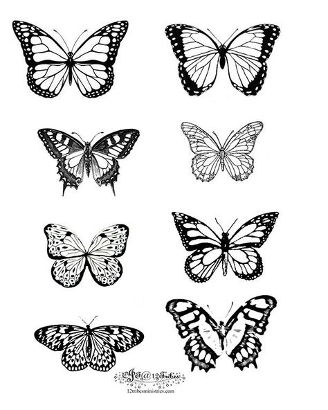 Black And White Butterflies — Stock Illustration Tiny Butterfly Tattoo, Monarch Butterfly Tattoo, Simple Butterfly Tattoo, Butterfly Tattoo Meaning, Tato Henna, Small Butterfly Tattoo, Women Picture, Couple Drawing, Drawing Eyes