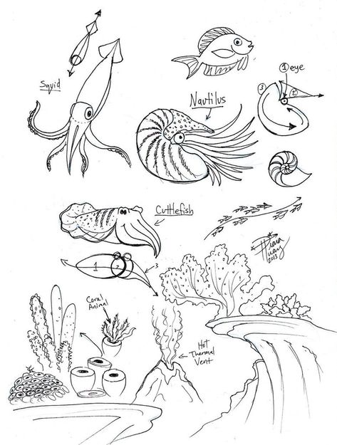 Of all the edible... ahem... cute little sea creatures out there the cuttlefish is my favorite. Well the squid can be small, and tasty, but they can grow to enormous sizes too. I remember seeing bo... Cuttlefish Drawing, Squid Drawing, Sea Creatures Drawing, Cartoons Movies, Ocean Drawing, Giant Squid, Nature Sketch, Fish Drawings, Creature Drawings