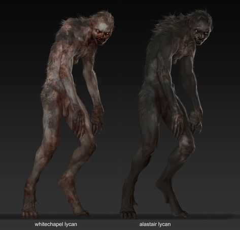 Lycan Art, The Order 1886, Illustration Concept Art, Beast Creature, Werewolf Art, Vampires And Werewolves, Thesis Statement, Alien Creatures, Classic Monsters