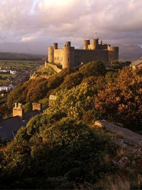 Harlech Castle Conwy Castle, Uk Castles, Welsh Castles, British Castles, Leeds Castle, Chateau Medieval, Wales Uk, Snowdonia, Beautiful Castles