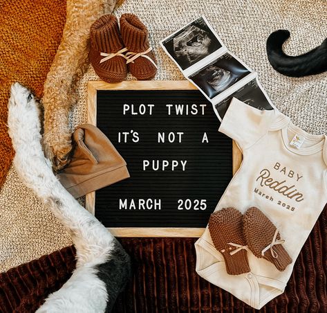 Pregnancy anouncement with 2 dogs and a cat. Pregnancy Announcement With Cat, Baby Announcement With Dogs, Pregnancy Announcement With Dog, Baby Announcement Dog, Pet Pregnancy Announcement, Dog Baby Announcement, Dog Pregnancy Announcement, Pregnant Dog, 2 Dogs