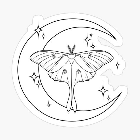 Insect Outline Drawing, White Witch Moth Tattoo, Chinese Moon Moth Drawing, Luna Moth Drawing Simple, Lunar Moth Tattoo Design Simple, Moth With Moon Tattoo, Moon Moth Drawing, Black And White Moth Tattoo, Tattoo Luna Moth