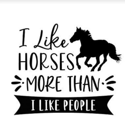 Equine Quotes, Horse Quotes Funny, Funny Horse Pictures, Inspirational Horse Quotes, Horse Riding Quotes, Riding Quotes, Horse Pics, Horse Sign, Love Horses