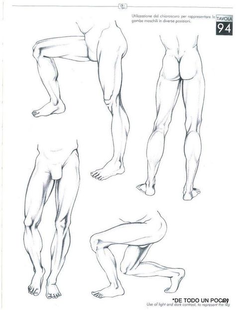 Male Leg Anatomy Drawing, Leg Musculature, Drawing Recipes, Leg Reference, Leg Anatomy, Male Body Drawing, Drawing Legs, Leg Art, Man Anatomy