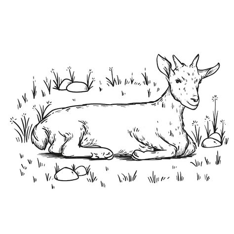 Hand drawn goat outline illustration | Premium Vector #Freepik #vector #animal-outline #outline #line-art #animal-drawing Ram Outline, Goat Outline, Animal Outline, Outline Illustration, Vector Line, Animal Drawing, Vector Hand, A Drawing, Premium Vector