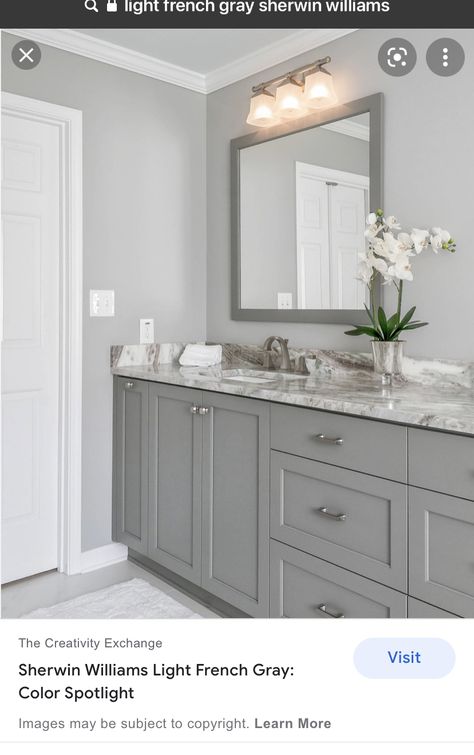 Sw Light French Gray, Light French Gray, Home Wall Colour, Greige Paint Colors, French Gray, Gray Cabinets, Bathroom Paint Colors, Laundry In Bathroom, Design Your Home