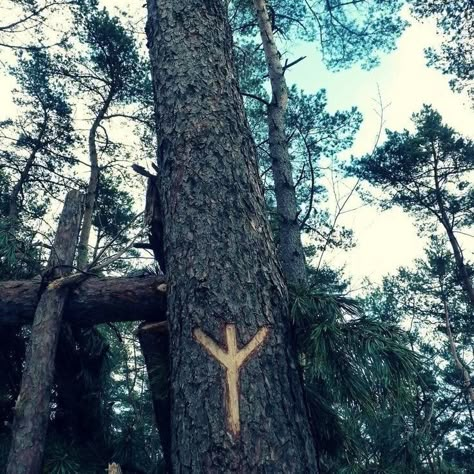 Algiz rune Rune of protection, defense, and spiritual growth. Algiz is associated with the Norse god Heimdallr, the guardian of the gods and the Bifröst Bridge. . . . . . . #ragnar #pagan #valhalla #viking #vikings #odín #norsemen #norse Norse Mythology Aesthetic, Rune Of Protection, Norse Aesthetic, Nordic Artwork, Algiz Rune, Pagan Aesthetic, Hyborian Age, Mythology Aesthetic, Viking Aesthetic