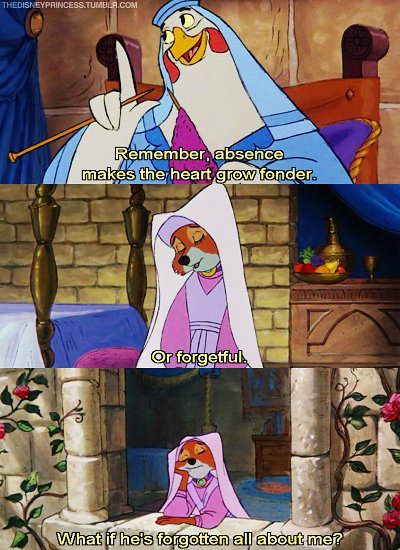 Robin Hood Quotes, Robin Hoods, Hood Quotes, Robin Hood Disney, Maid Marian, Quotes Disney, Disney Aesthetic, Disney Life, Mood Humor