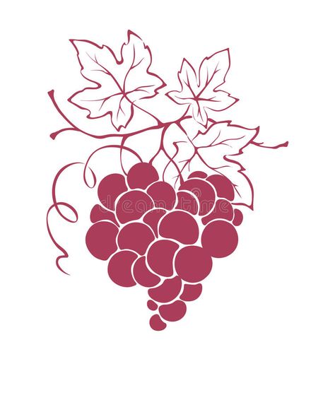 Graphic illustration - grapes in the shape of a heart stock illustration Grapes Illustration, Heart Illustration, The Shape, Design Element, A Heart, Graphic Illustration, Stock Illustration, Illustration Design, Heart Shapes