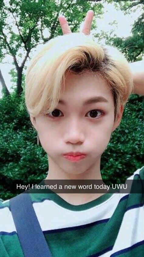 Felix Snapchat Edits, Skz Snapchat Edits Funny, Skz Snapchat Edits, Felix Snapchat, Straykids Snapchat, Stray Kids Snapchat, Kpop Snapchat Edits, Skz Snaps, Kids Snapchat