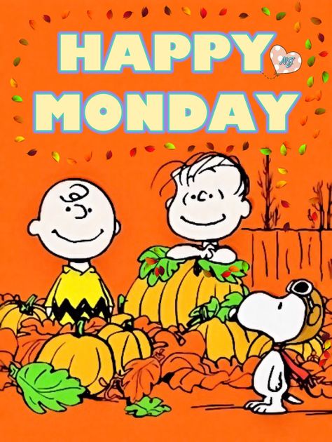 Monday Halloween, Snoopy Holiday, Snoopy Hug, Happy Monday Images, Morning Family, Monday Images, Story Pics, Good Monday Morning, Happy Day Quotes