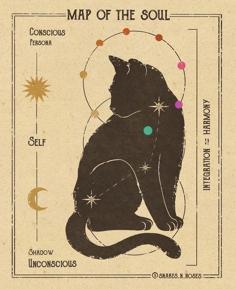 Snakes And Roses, A Black Cat, Snakes, A Black, Black Cat, Roses, Moon, Map, Instagram