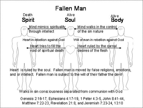 Grace Harbor: Spirit Soul Body Soul Vs Spirit, Genesis Bible Study, Body Images, Body Man, Soul Winning, Sacred Science, Bible Study Topics, Spirit Soul, Sermon Notes