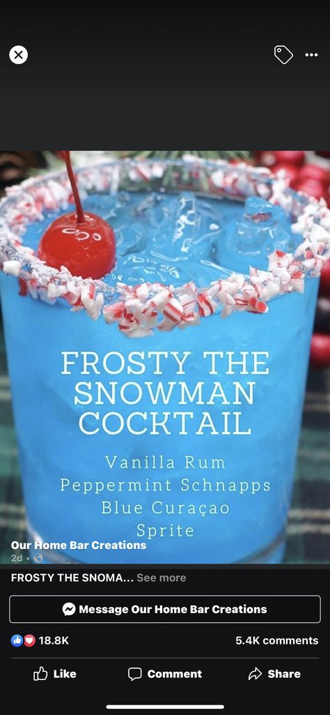 Snowman Cocktail, Frozen Mixed Drinks, Peppermint Schnapps, Vanilla Rum, Cocktail Photos, Purple Pumpkin, Mixed Drinks Alcohol, Best Party Food, Lemon Lime Soda