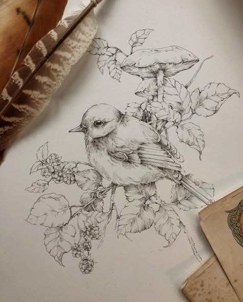 Pyrography Patterns, Pencil Sketch Images, Pen Art Drawings, Art Diary, Arte Sketchbook, Pencil Art Drawings, Bird Drawings, Bird Illustration, Ink Illustrations