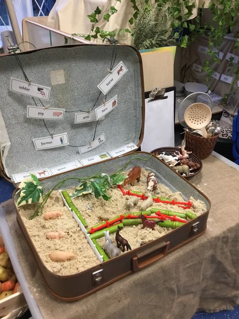 Eyfs Natural Nursery Ideas Eyfs, Story Suitcase, Nursery Ideas Eyfs, Sand Display, Hygge Classroom, Tactile Sensory Activities, Curiosity Approach Eyfs, Suitcase Display, Suitcase Ideas