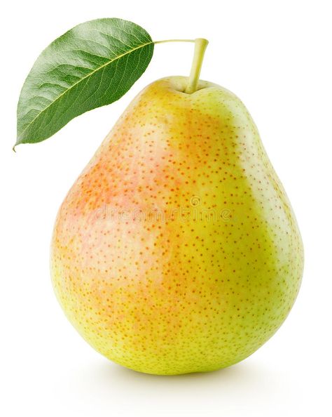 Potted Fruit Trees, Fruit Art Drawings, Pear Dessert, Fruits Photos, Fruit Picture, Pear Fruit, Food Png, Fruits Images, Yellow Fruit