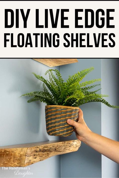 Learn how to make these DIY live edge floating shelves! It's easier than you think! Get the tutorial for how to make live edge floating shelves at The Handyman's Daughter! #floatingshelves #liveedge Live Edge Floating Shelves, Diy Live Edge, Floating Shelf Hardware, Driftwood Shelf, Live Edge Shelves, Diy Swimming Pool, Floating Shelves Diy, Estantes Flotantes, Up House