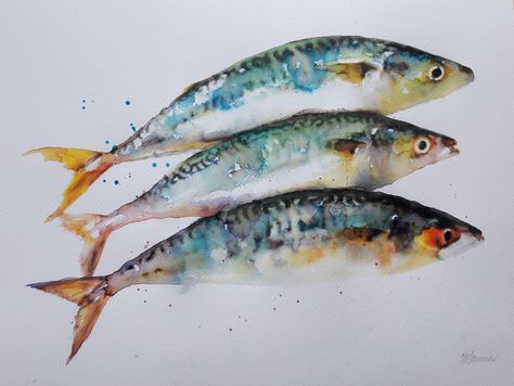 Mackerel Fish, Fish Artwork, Watercolor Blog, Watercolor Fish, Fish Illustration, Loose Watercolor, Wildlife Paintings, Beautiful Fish, Fish Painting