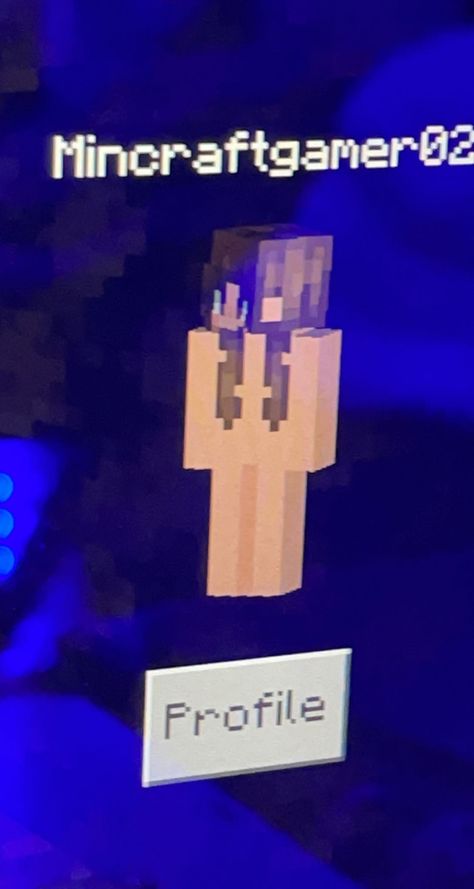 guys this is my minecraft skin lmfao, also thats my gamertag if you wanna add me <3 #minecraft #minecraftskin #gamertag #aesthetic #tiktok Gamer Tags, Minecraft Skin, Minecraft, Gaming Logos, Movie Posters