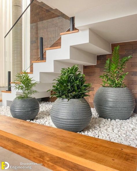 27+ Fascinating Under Stair Garden Ideas That Will Blow Your Mind | Engineering Discoveries Small Garden Under Stairs, Living Room Under Stairs, Under Stairs Dog House, Room Under Stairs, تحت الدرج, Vstupná Hala, Stairs Design Interior, Stairway Design, Stairs Design Modern