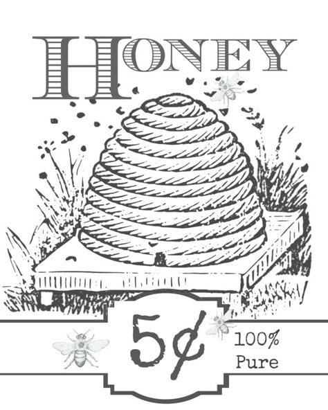 Free honey label printable coloring page Bee Hive Craft, Honey Label, Bee Printables, Honey Bee Decor, Label Printable, Bee Illustration, Bee Skep, Free Vintage Printables, Vintage Bee