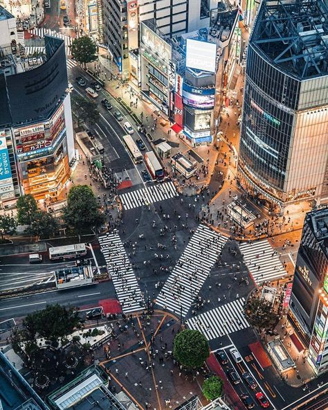 45.1k Likes, 91 Comments - VOYAGED by 9GAG (@voyaged) on Instagram: “The famous Shibuya Crossing — 📌 #渋谷スクランブル交差点 #shibuya #tokyo #japan — 📷 @ebi_times — #voyaged…” Things To Do In Tokyo, Tokyo Tour, Japan Beautiful, Shibuya Crossing, Japan Architecture, Travel Booking, Tokyo Skytree, Cool Things To Do, Shibuya Tokyo