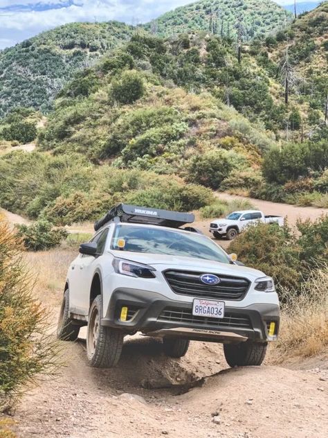 Get Off-Road Ready - Best Subaru Outback Mods Available Subaru Outback Mods, Outback Mods, Subaru Outback Accessories, Subaru Outback Lifted, Outback Wilderness, Lifted Subaru, Offroad Accessories, Off Road Bumpers, Tire Storage