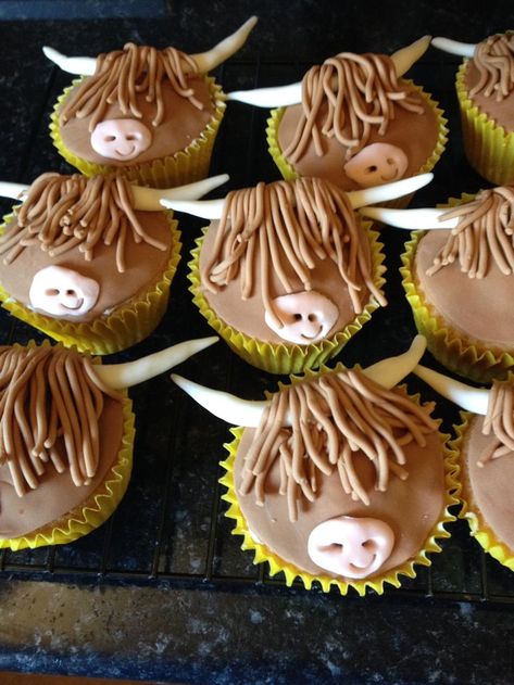 Highland cow cupcakes Scottish Highland Cow Cupcakes, 4-h Cupcakes, Farm Cupcakes Ideas, Cow Cupcakes Ideas, Cute Animal Cupcakes, Cupcakes Animals, Highland Cow Cupcakes, Farm Cupcakes, Highland Cow Cake