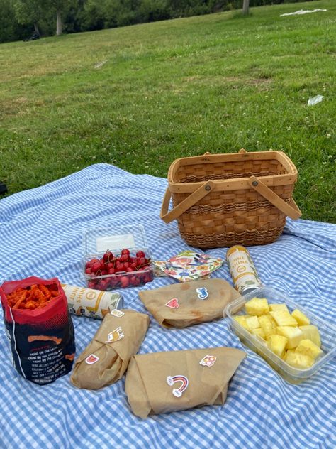 #picnic #aesthetic #green #gingham Gingham Picnic Blanket, Gingham Picnic, Blue Picnic, Lake Summer, Picnic Aesthetic, Picnic Ideas, Summer Cakes, Twisted Series, Green Gingham