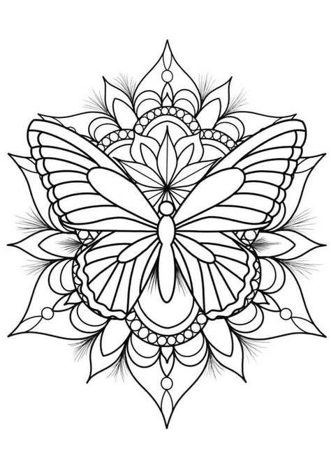 Ornamental Butterfly Tattoo, Ornamental Butterfly, Beginner Tattoos, Tattoo Mandala, Tattoo Outline Drawing, Butterfly Mandala, Tattoo Zeichnungen, Muster Tattoos, Inspiration Tattoos