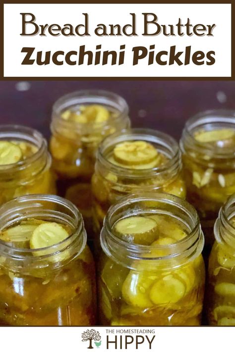 If you have too much zucchini, this zucchini pickles recipe will let you enjoy your harvest year-round! It's easy to make, too. #zucchini #recipe Juicing Zucchini, Round Zucchini Recipes, Canning Zucchini, Bread N Butter Pickle Recipe, Butter Zucchini, Pickled Vegetables Recipe, Water Bath Canning Recipes, Best Zucchini Recipes, Zucchini Pickles