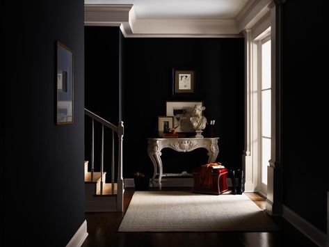 Tricorn Black Entrance - Interiors By Color Black Entrance, White Foyer, Painting Walls Tips, Black Tile Bathrooms, Tricorn Black, Welcome To The Dark Side, Black Paint Color, Apartment Loft, Luxurious Interior Design