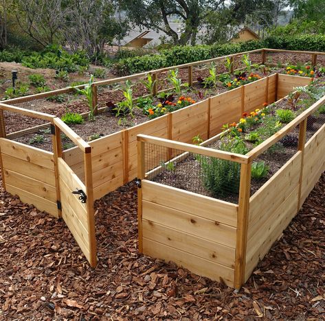 Cedar Raised Garden Bed 8x16 - Outdoor Living Today Cedar Raised Garden Beds, Raised Garden Planters, Cedar Garden, Home Greenhouse, Wood Garden, Garden Vines, Greenhouse Plans, Cold Frame, Garden Kits