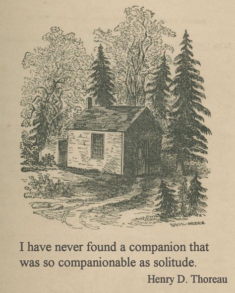 Thoreau found contentment in solitude in nature when he spent over two years living alone in a shack by Walden Pond. Wood Quotes, Henry David Thoreau Quotes, Walden Pond, Thoreau Quotes, A Cabin In The Woods, Into The Woods Quotes, Quotes Thoughts, Henry David Thoreau, Life Quotes Love