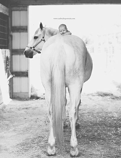 Pictures With Horses, Newborn Photos Boy, Baby Pictures Newborn, Baby Boy Announcement, Western Babies, Baby Announcement Photos, Newborn Baby Photos, Newborn Photoshoot