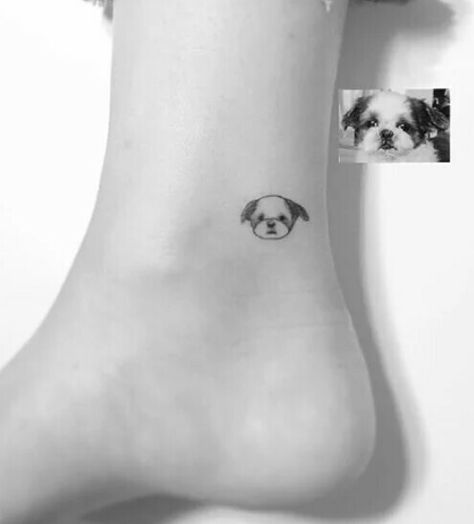 Shih Tzu tattoo cute Shih Tzu Minimalist Tattoo, Shin Tzu Tattoo, Shih Tzu Tattoos, Shih Tzu Ears Tattoo, Shihtzu Tattoos Minimalist, Shih Tzu Outline Tattoo, Shitzu Tattoo Outline, Ezio Tattoo, Shih Tzu Tattoo Minimalist