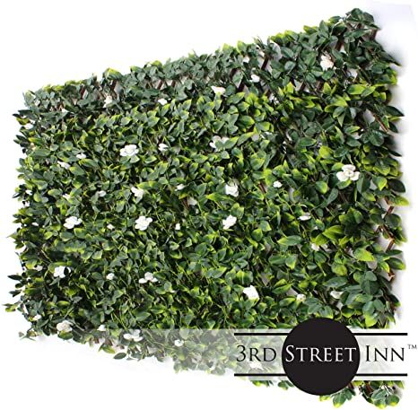 AmazonSmile : 3rd Street Inn Gardenia Leaf Trellis 4-Pack - Bamboo Greenery Panel - Boxwood and Ivy Privacy Fence Substitute - DIY Flexible Fencing (Gardenia) : Garden & Outdoor Bamboo Privacy Screen, Ivy Privacy Fence, Bamboo Ideas, Diy Bamboo, Bamboo Privacy, Diy Privacy Fence, Wall Trellis, Artificial Green Wall, Wood Trellis