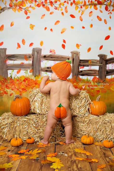 Baby pumpkin, toddler pumpkin, Long Island photographer, Long Island children's… Toddler Pumpkin Pictures, Toddler Halloween Pictures Photo Ideas, Fall Photoshoot Pumpkins, Kids Pumpkin Head Photoshoot, Punkin Head Photo Shoot, Fall Mini Shoot, Todlers Pictures Fall, Handmade Halloween Decorations, Baby Photography Poses