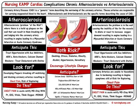 Atherosclerosis VS Arteriosclerosis Nursingkamp.com Nursing Student Cardiac Medical Surgical Nursing NCLEX Cardiac Disorders Nursing, Cardiac Assessment, Med Surge, Nurses Notes, Medications Nursing, Cardiology Nursing, Nurse Study Notes, Nursing Mnemonics, Surgical Nursing