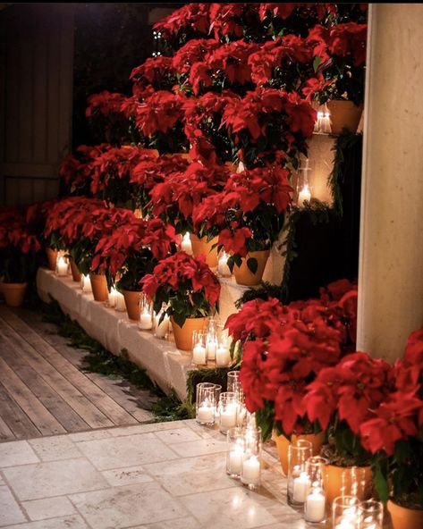 Kourtney Kardashian Christmas Poinsettia display 2019 Kardashian Christmas Eve Party, Formal Christmas Party, Kardashian Christmas, Christmas Eve Party, Luxury Christmas Decor, Winter Wedding Decorations, Christmas Poinsettia, My Mood, Christmas Party Decorations