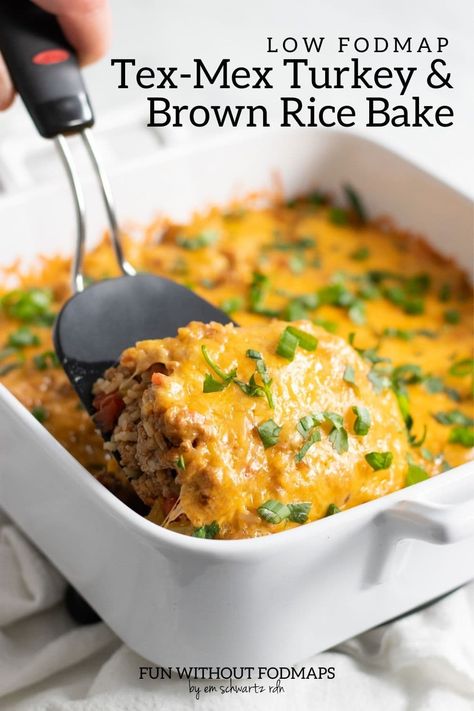 Low Fodmap Meal Plan Simple, 5 Ingredient Low Fodmap, Low Fodmap Chicken Casserole, Healthy Low Fodmap Dinner, Fodmap Casserole Recipes, Low Fodmap Enchiladas, Low Fodmap Family Dinners, Low Carb Fodmap Recipes, Low Fod Map Recipe