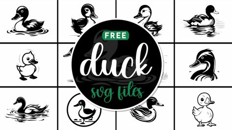 Elevate your projects with our charming free Duck SVG files. Perfect for adding a touch of whimsy to your crafts, projects, and more. Cat Themed Parties, World Of Printables, Digital Recipe Book, Personalized Stationery Set, Budget Planner Template, Blog Banner, Personalized Easter Basket, Free Svg Files For Cricut, Cat Svg